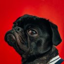 아이파크상우공인중개사사무소 이미지