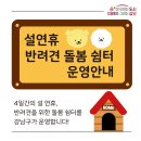 굿파파24시 반려동물 건강검진센터 이미지