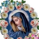 성모의지 이미지