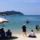 장호이미자펜션 이미지