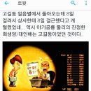 한태상사 Daum카페