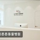 튼튼동물병원 | 수원 강아지 안과 전문 눈이튼튼동물병원 믿음직한 전문성