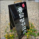 용담명가국수