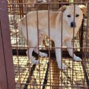 남은농장 이미지