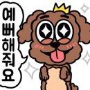 다움동물병원 이미지