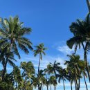 와이키키포케 이미지