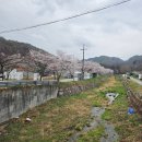 벚꽃마을경로당 이미지