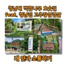 한강시민공원백합나무길 입구 | 청남대 백합나무 호숫길 feat. 청남집 고추장삼겹살 내 안과 소통하기