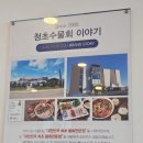 중앙로21길 | 청초수물회 속초본점 내돈내산 솔직후기 feat. 속초관광수산시장 먹거리 추천_만석닭강정, 속초딸기모찌...