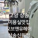 신원어린이집 | 신원동미용실 삼송동 미용실 오브앤유헤어에서 시그니처 손상모 복구매직 받은 후기!!!