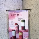 커피빈 - 창원시 성산구 원이대로 320 | 대학로 커피빈 방문 후기 / 생딸기 가득한 딸기라떼에 반한 날