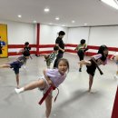 국가대표 퍼스트 태권도장 이미지