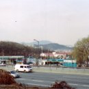 덕골목장 Daum카페