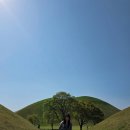 소나무다방