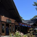 설악산로 | 속초 가볼 만한 곳 베스트,딱 지금가야 이쁜 속초 한옥 카페 감성까지 완벽한 설악산로 카페 후기!