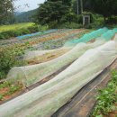 상순농장 이미지