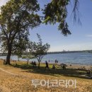 시애틀 - 서구 둔산중로78번길 20 | 시애틀