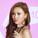 아이돌뮤직 이미지