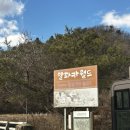 알파카정비 | [홍천 가볼만한곳] 알파카월드 힐링여행/아이들과 가족여행 하기 좋은 곳 🦙✨