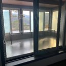 청벽거북 이미지