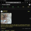 대관령치과의원 | 화성동물병원 , 슬개골탈구수술 에 대한 궁금증에 답해드립니다.