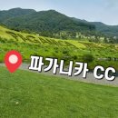파가니카 CC후기 (프로샵,그늘집,새벽티,시그니처홀,난이도,그린상태,꿀팁)