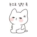 보드게임카페레드버튼화정