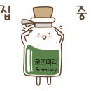 힐링in아로마
