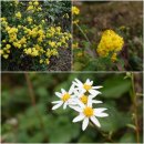 지상농장 이미지