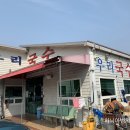 효자동해물칼국수 Daum카페