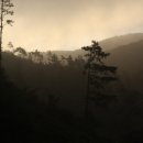 개인택시(웅치) 이미지