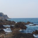 새동해바다 이미지