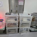 서울시야생동물센터 이미지