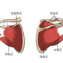 드림스포츠 이미지