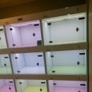 로이종합동물병원 이미지