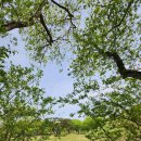 진평왕릉 화장실 이미지