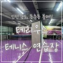 테리우스테니스연습장