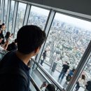 주식회사 대동스카이라이너 | 도쿄 여행 코스 3박 4일 디즈니랜드 다녀와서 정리한 완벽 일정표