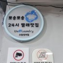 성대 세탁 이미지