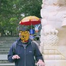 검배로 힐링거리 주변 | 달랏 여행 힐링 코스 (5) 죽림선원 가는 법 + 복장 규정 + 방문 후기 총정리