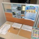 바이크렌트 | 가오슝 : 소류구 스쿠터(전동 바이크) 렌트 후기 | City Jumper
