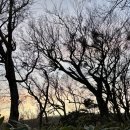 (주)우진시스템 | 겨울 제주도 2박 3일 여행(설산 한라산 산행 후기- 관음사~성판악 코스)