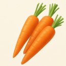 당근헬스 | [내돈내산] 김재식헬스푸드 저온착즙 100% 맛있는 당근즙 후기