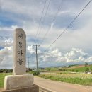 운남농협주유소 이미지