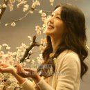 예진아씨헤어 - 장수군 신천로 31 | 예진아씨헤어