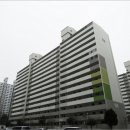 그린 (212) 이미지