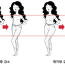 강동천호복싱다이어트 이미지