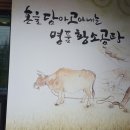 황소명품곰탕 이미지