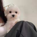 오닭꼬치방촌점 | 2024.08.