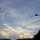[서천] 11월에 야광충 / 춘장대해수욕장 / 홍원항 / 숨겨진 보물같은 맛집 본가